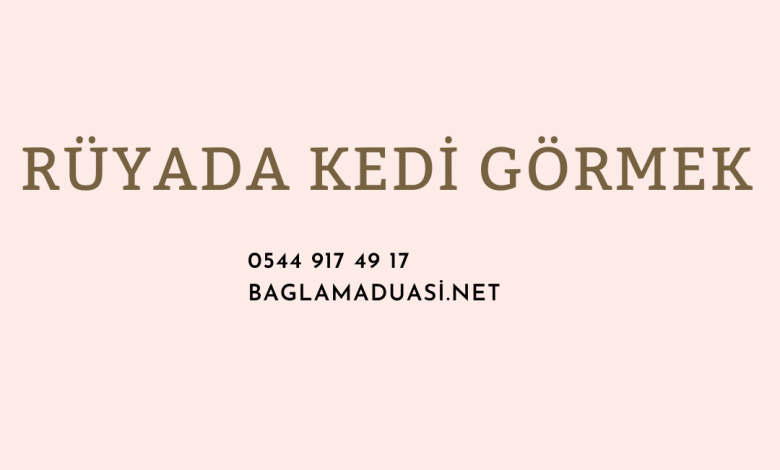Rüyada Kedi Görmek Rüyada Evde Kedi Görmek İsmaiL Hoca