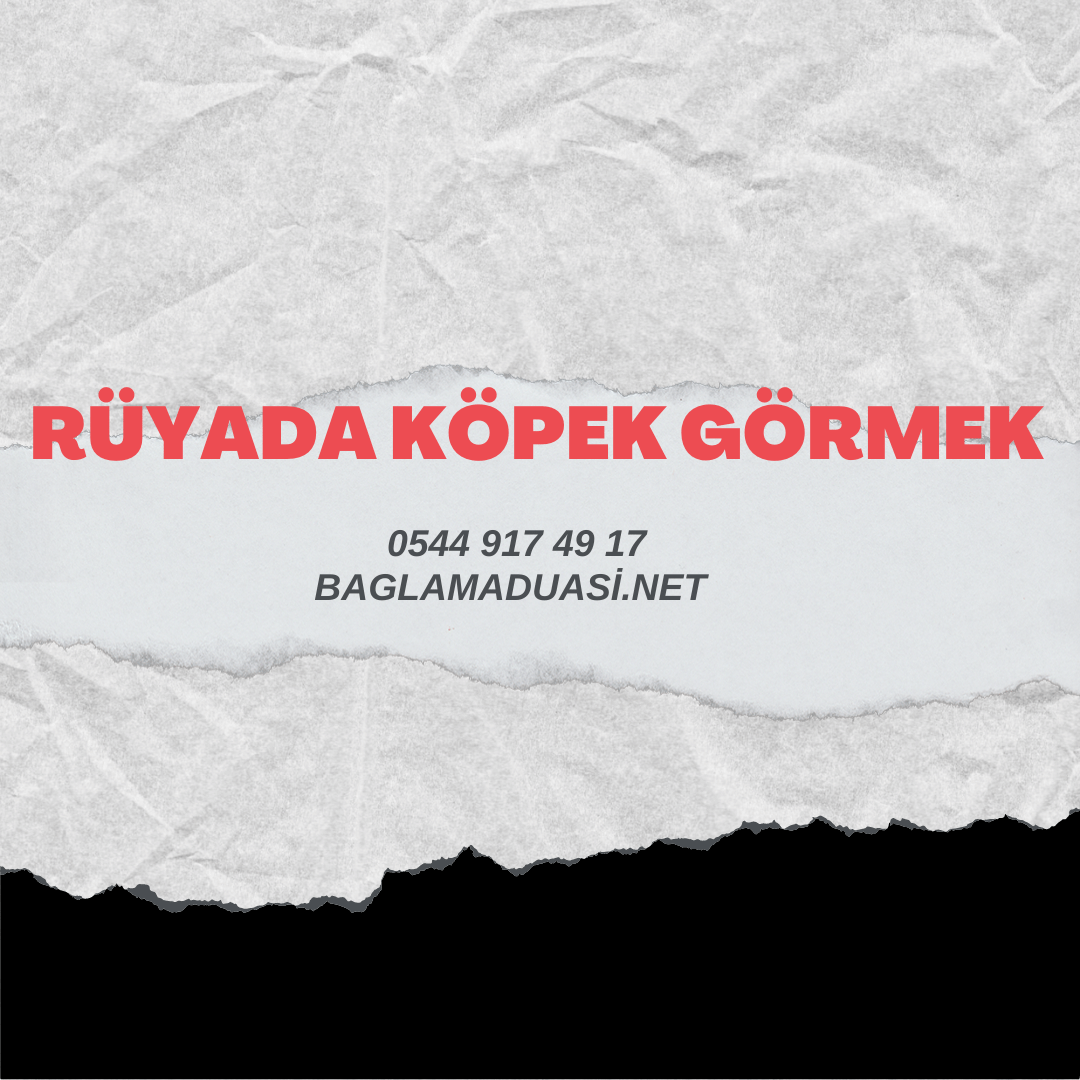 Ruyada Kopek Gormek - Rüyada Köpek Görmek