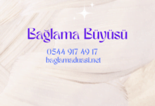  fotoğrafı