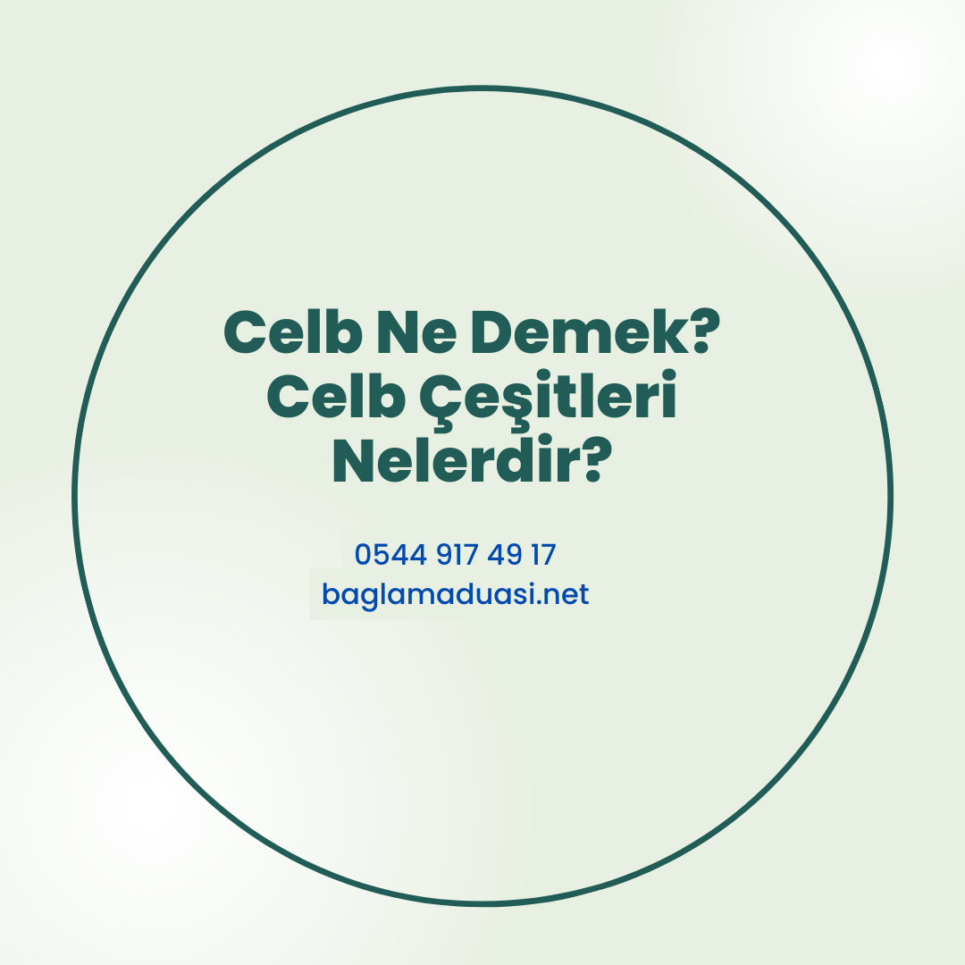 Celb Ne Demek Celb Cesitleri Nelerdir - Celb Ne Demek? Celb Çeşitleri Nelerdir?