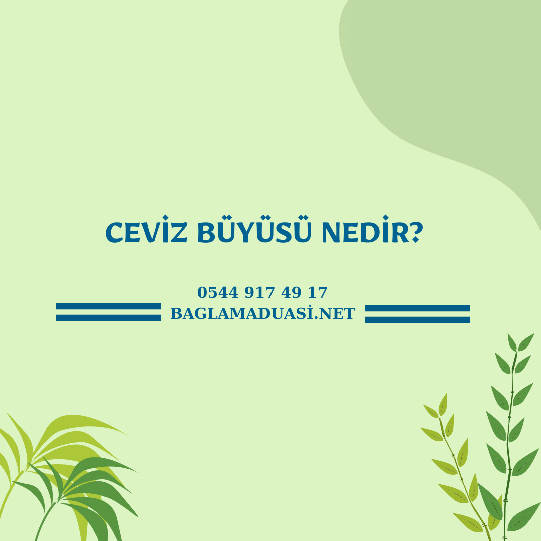 Ceviz Buyusu Nedir - Ceviz Büyüsü Nedir?