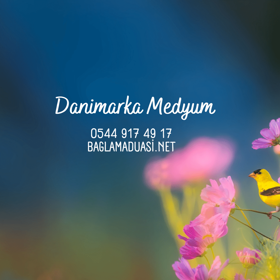 Danimarka Medyum - Danimarka Medyum