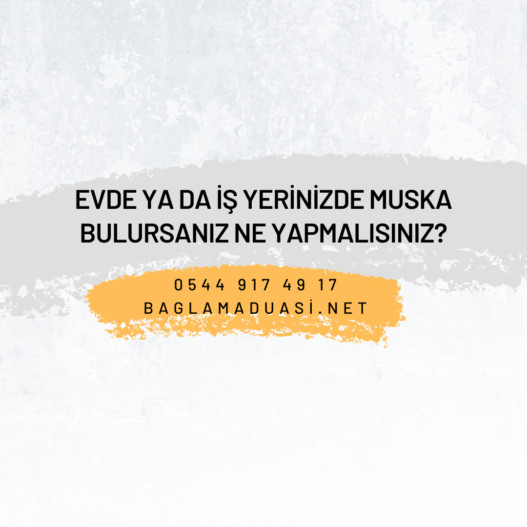 Evde ya da Is Yerinizde Muska Bulursaniz Ne Yapmalisiniz - Evde ya da İş Yerinizde Muska Bulursanız Ne Yapmalısınız?