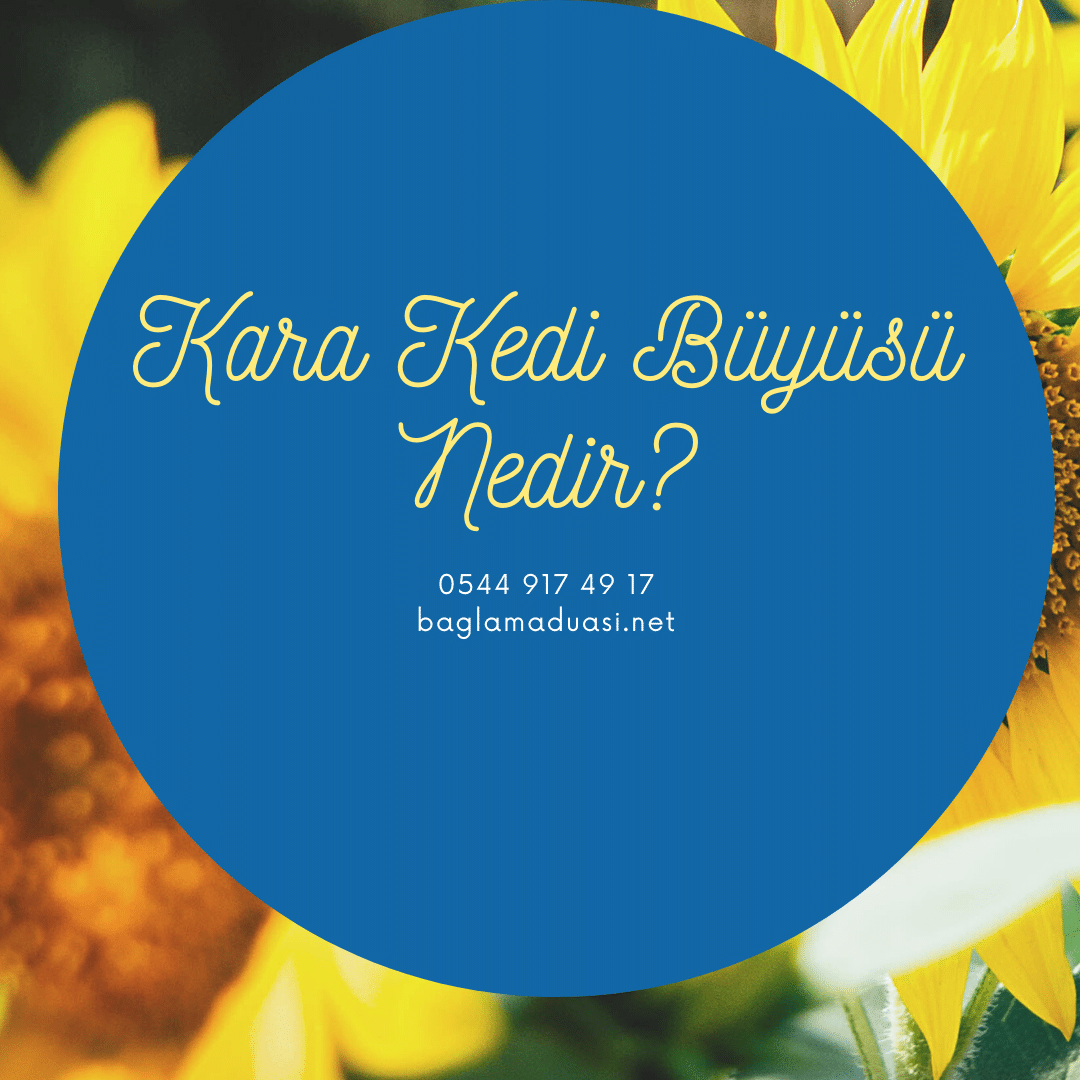 Kara Kedi Buyusu Nedir - Kara Kedi Büyüsü Nedir?