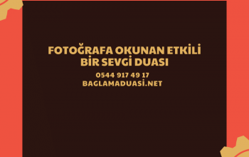  fotoğrafı