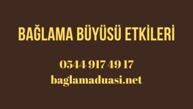  fotoğrafı