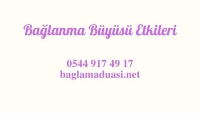  fotoğrafı