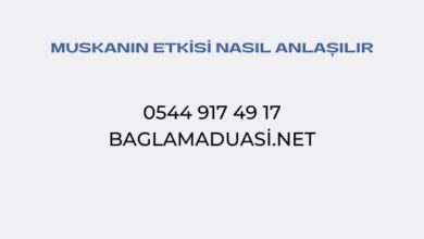  fotoğrafı