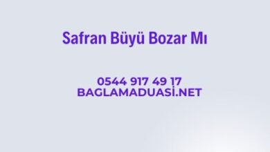  fotoğrafı