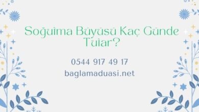  fotoğrafı