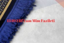  fotoğrafı