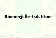 fotoğrafı