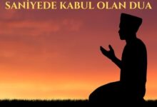  fotoğrafı