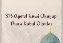  fotoğrafı