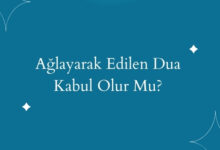  fotoğrafı