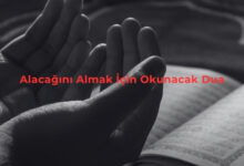  fotoğrafı
