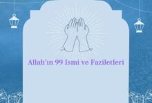  fotoğrafı